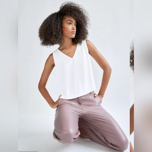 Aritzia Babaton Murphy Blouse